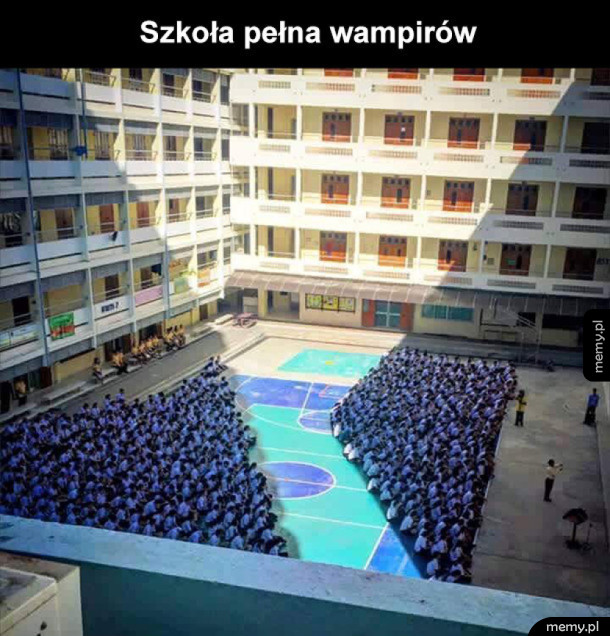 Wampir school musical