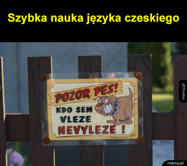 Szybka nauka