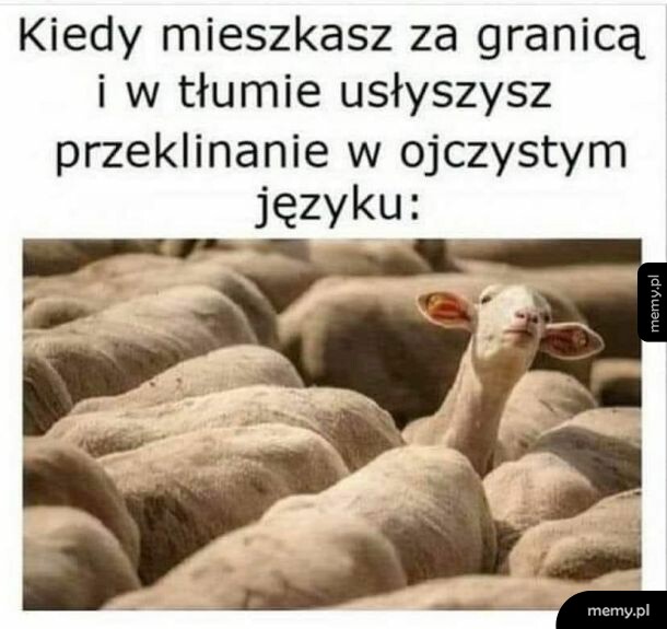 Znany język