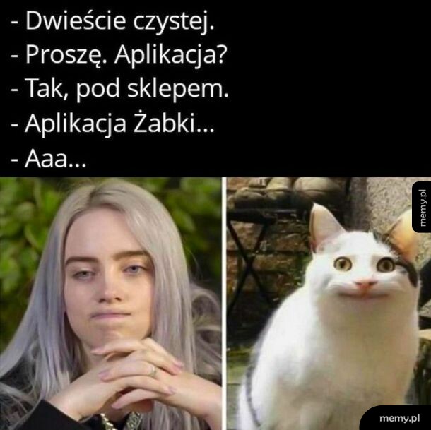 Żabka