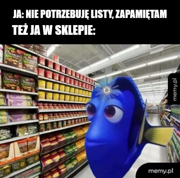 Pamięć level ekspert, rzeczywistość level Dory