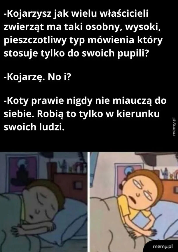 Dwie postacie rozmawiają o właścicielach zwierząt i zachowaniu kotów.