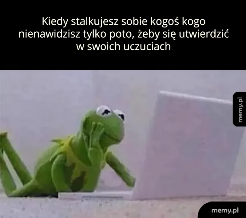 Żaba Kermit siedzi przed laptopem, z zamyśloną miną.