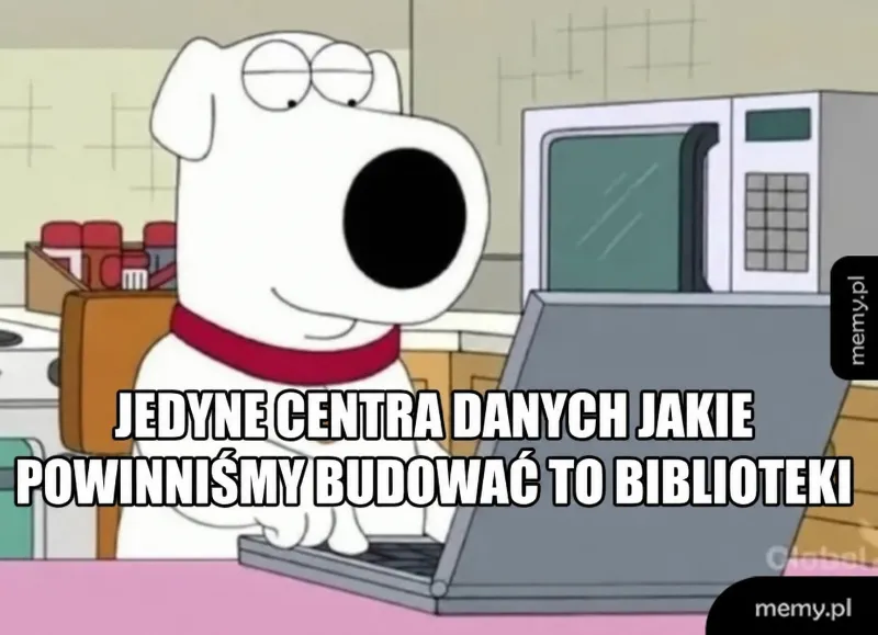 Biały pies przy komputerze w kuchni.