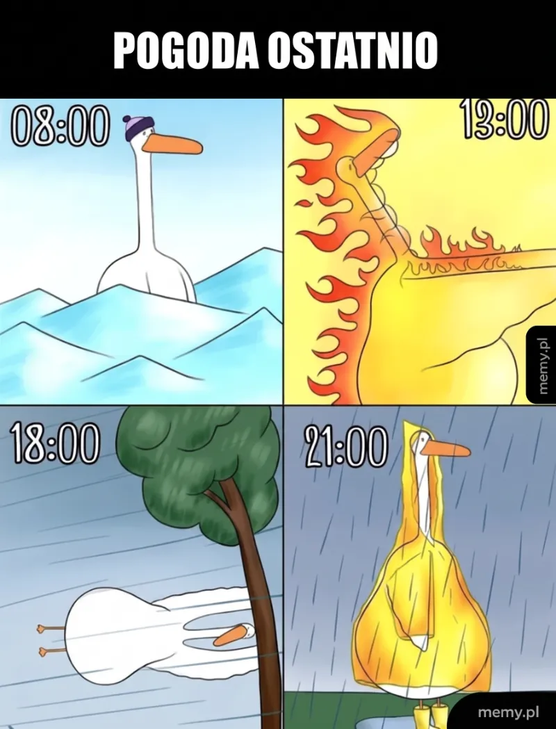 Cztery panele z ptakiem w różnych warunkach pogodowych.