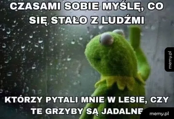 Postać żaby Kermita patrzy przez okno w deszczu.
