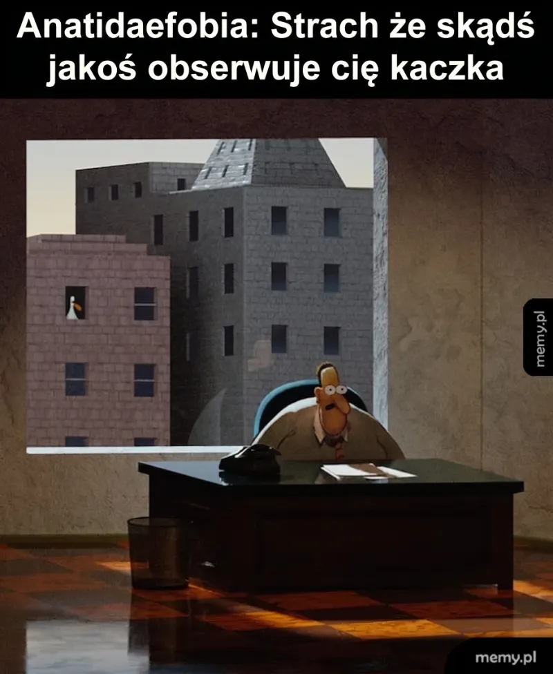 Kiedy kaczka w kołnierzu ortopedycznym śledzi każdy twój ruch