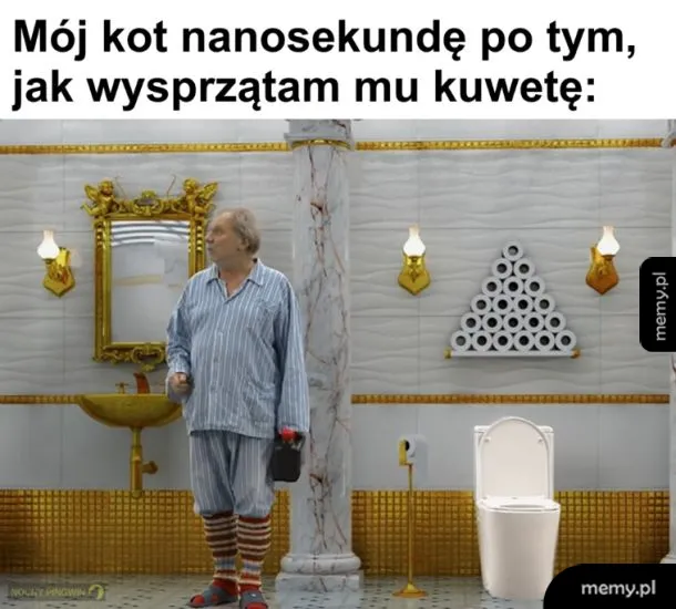 Mój kot