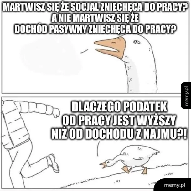Kaczka zadaje pytania o dochody pasywne i podatki.