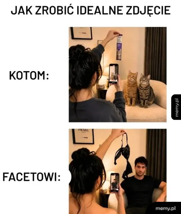 Kobieta trzyma przedmiot w ręku, obok dwa koty oraz mężczyzna na kanapie.