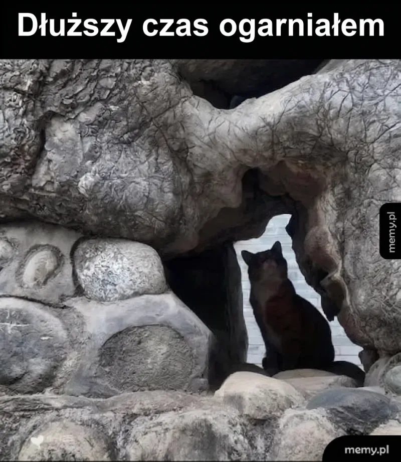 Ostateczna kryjówka przed odkurzaczem.