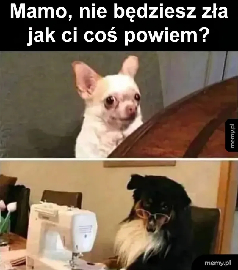 Kiedy zbierasz odwagę, żeby powiedzieć mamie, że zbiłeś jej ulubiony wazon