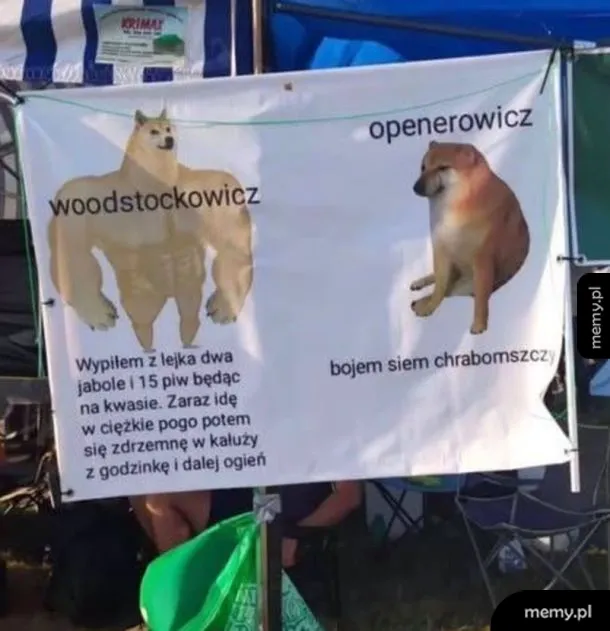 Baner z dwoma postaciami: jedna przypomina niedźwiedzia, druga psa.