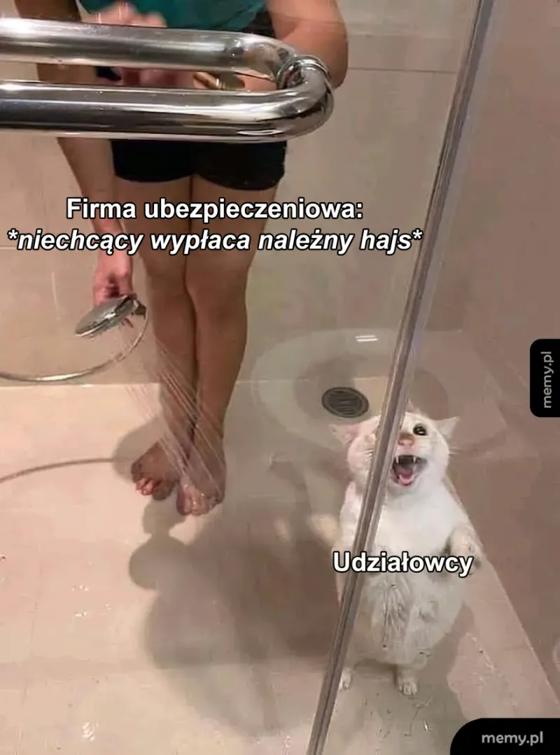 Osoba w kabinie prysznicowej trzyma wąż, a pies wygląda na zadowolonego.