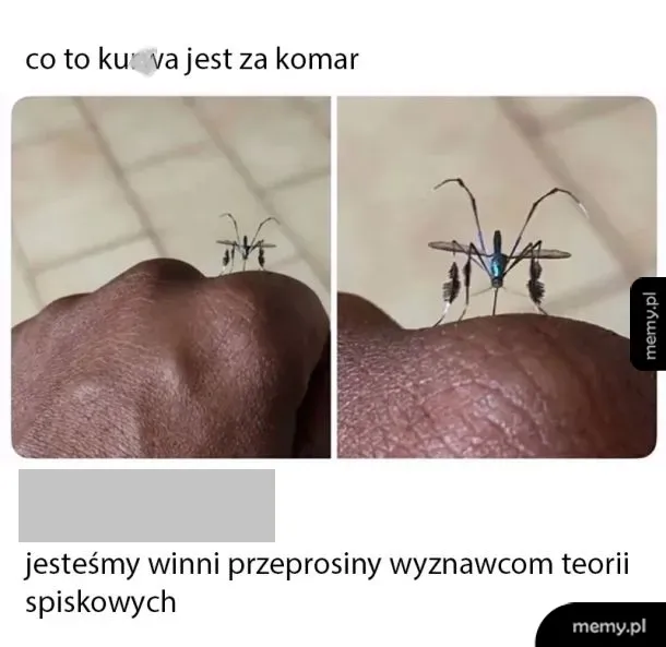 Dwie fotografie: jedna z komarem na skórze, druga z dużym komarem.
