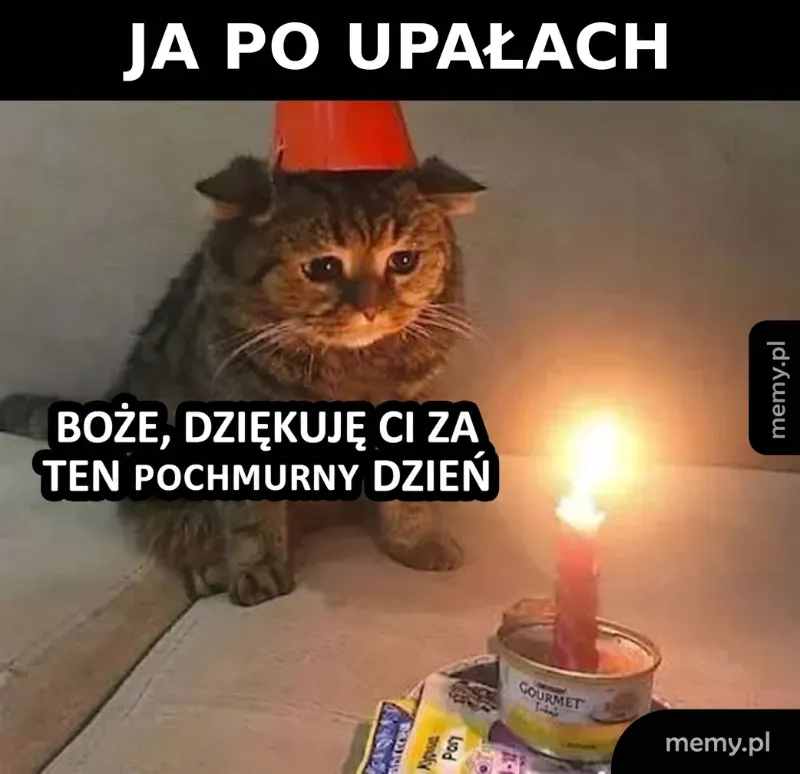Kiedy po dwóch tygodniach smażenia się w piekle w końcu jest czym oddychać 🥵☁️🙏