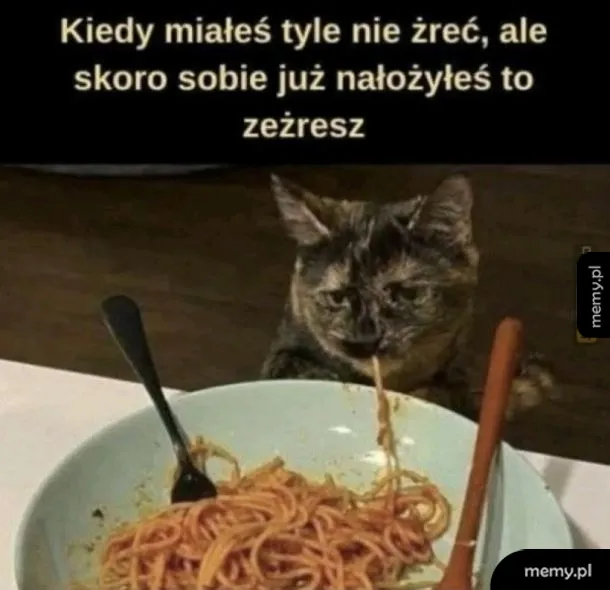Dieta zaczyna się od poniedziałku