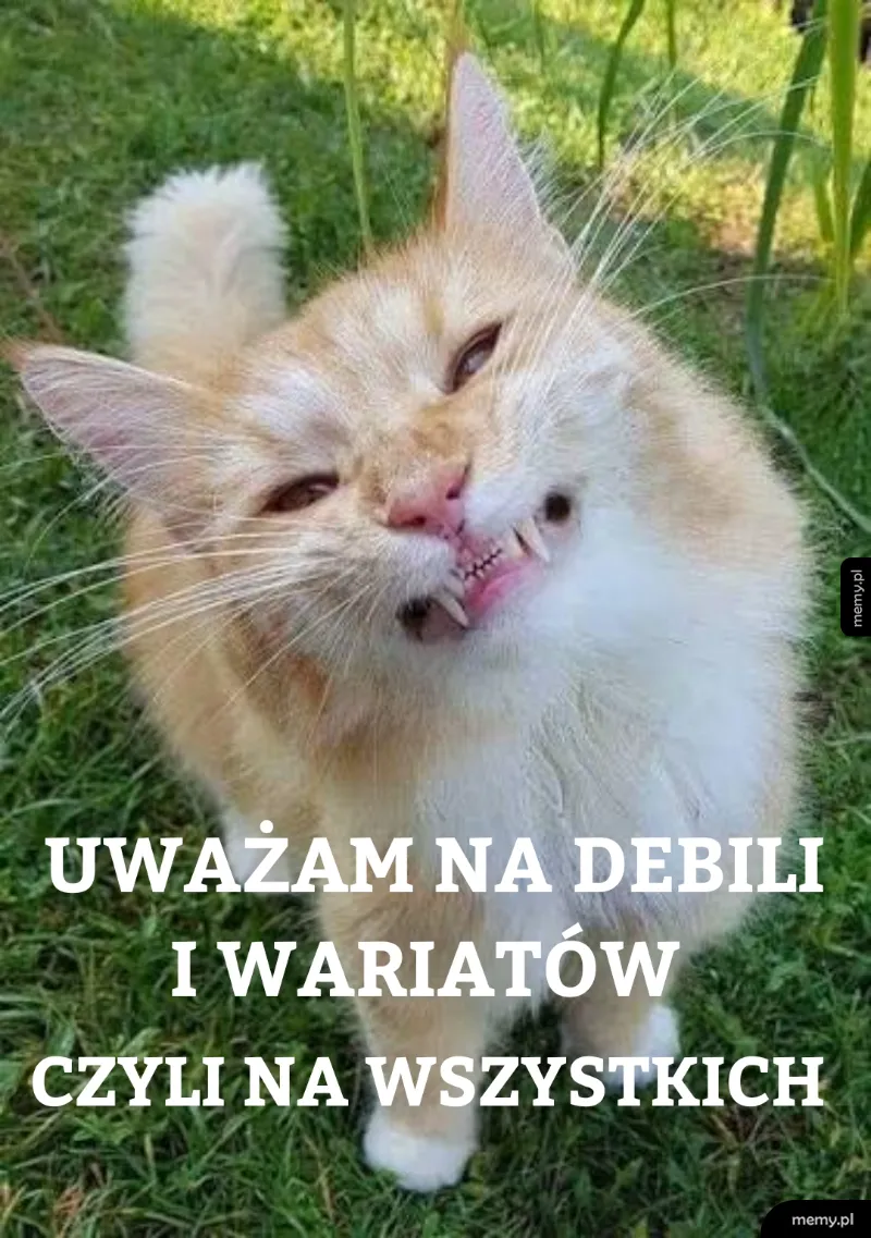 Zawsze uśmiechnięty