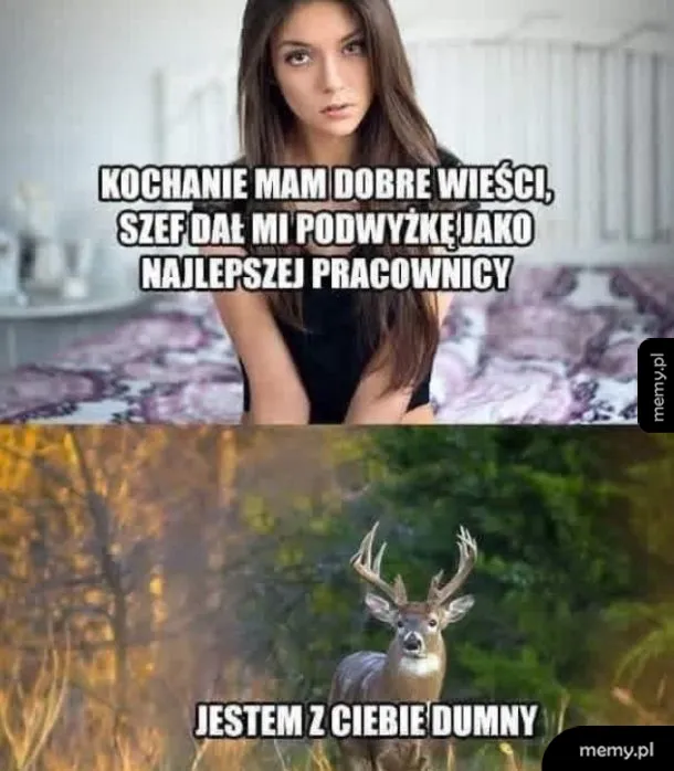 Kobieta w pokoju i jeleń w lesie.