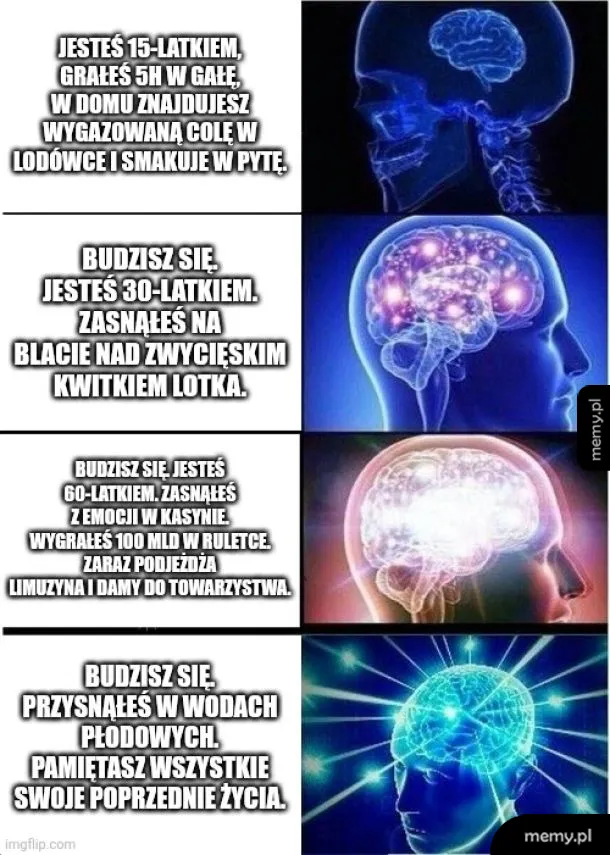Cztery etapy życia przedstawione w formie schematycznych mózgów.
