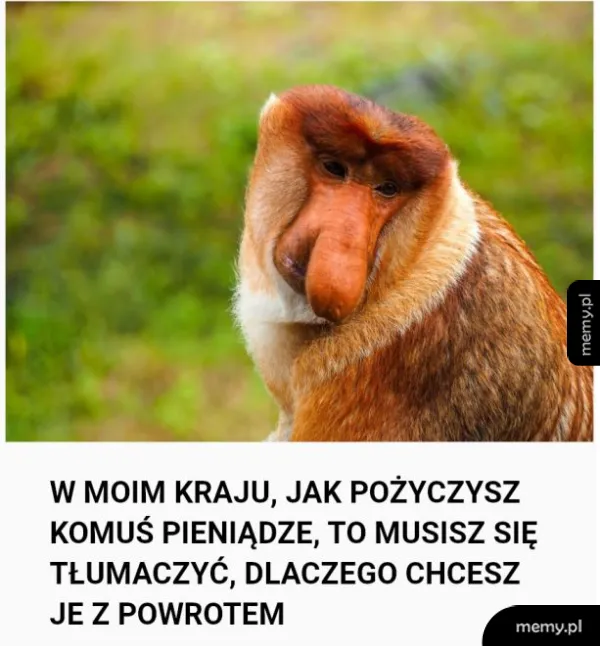I tak to się żyje