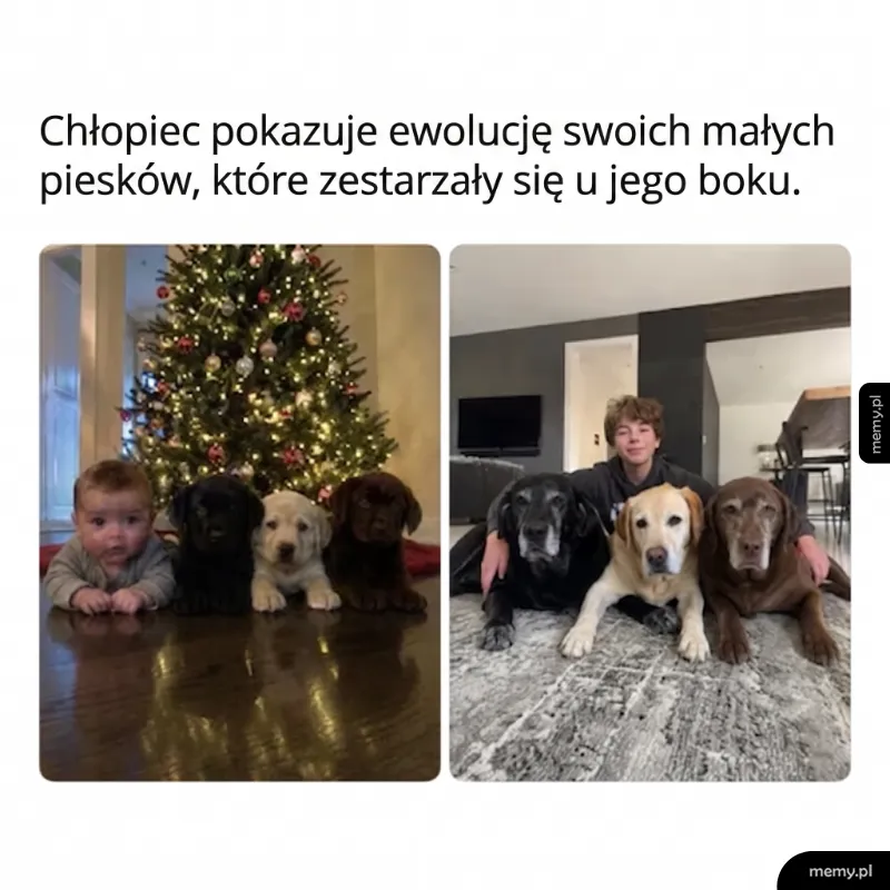 Ekipa wciąż ta sama 🐶👨👵