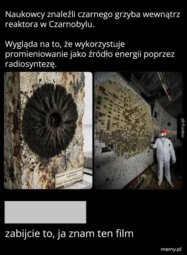 Czarny grzyb na ścianie reaktora w Czarnobylu, naukowiec w białym kombinezonie.
