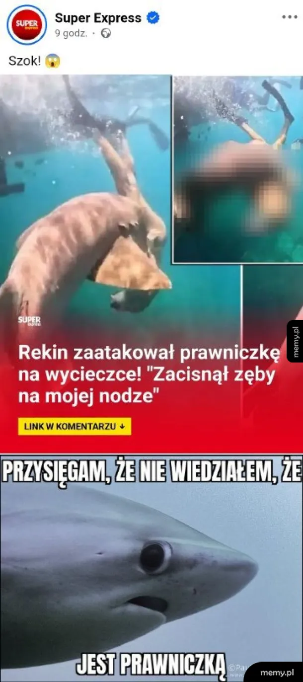 Rekin atakuje prawniczkę podczas wycieczki.
