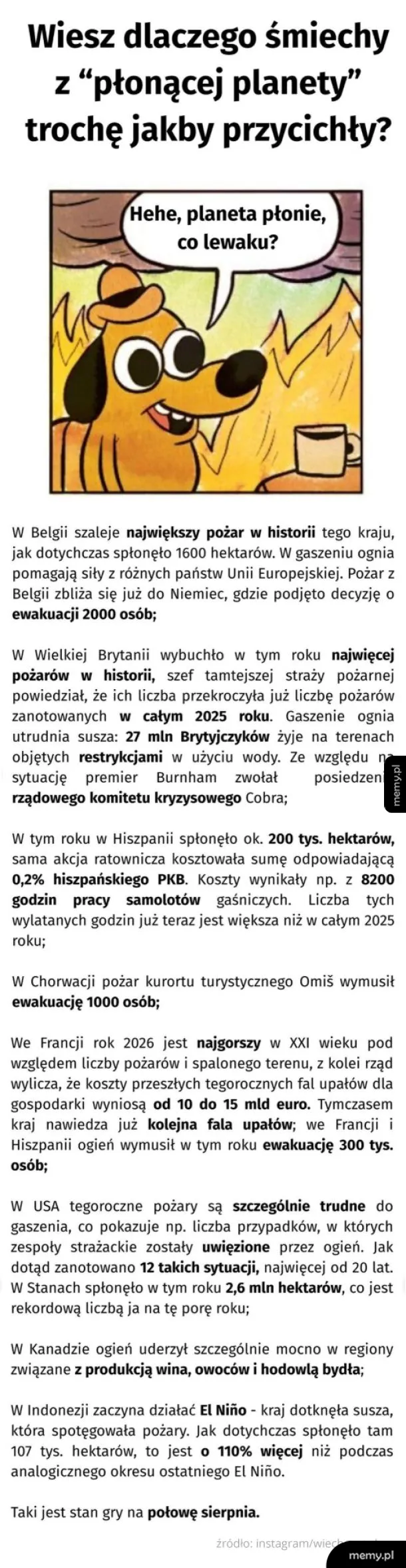 Tekst o pożarach w Polsce i ich skutkach, z ilustracją psa.