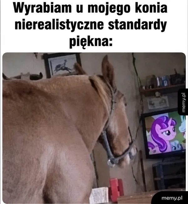 Koń z widokiem na telewizor z postacią z kreskówki.