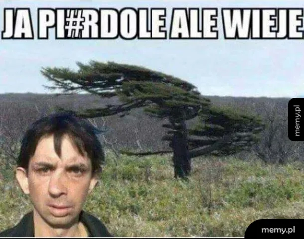 Mężczyzna z zaskoczoną miną na tle silnego wiatru, który wygina drzewo.