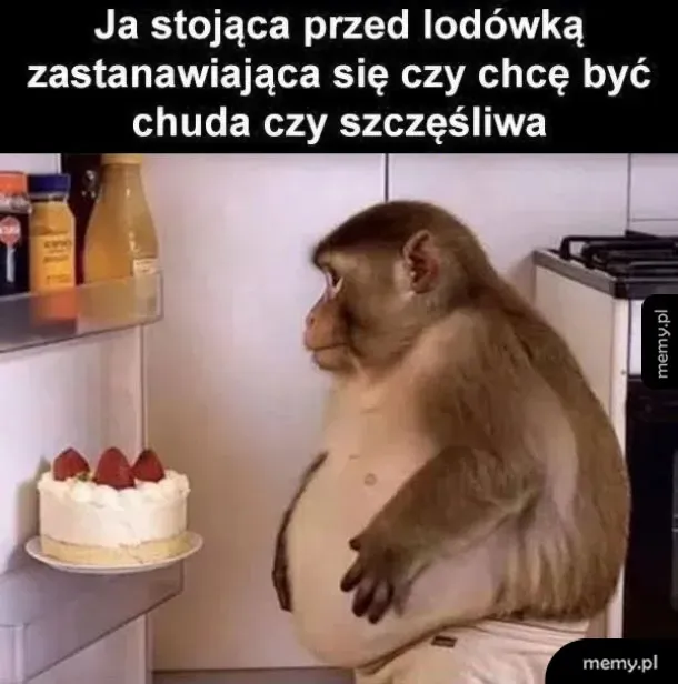 Małpa stoi przed lodówką, patrząc na ciasto.