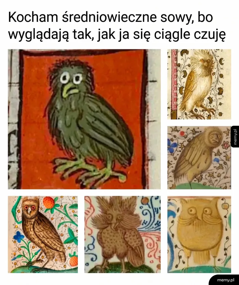 Sowy w stylu średniowiecznym, różne ilustracje z dziwnymi wyrazami twarzy.