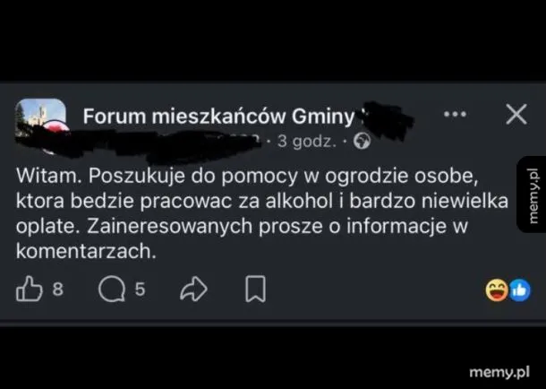 Zrzut ekranu z posta na grupie społecznościowej oferującego pracę w ogrodzie za alkohol.