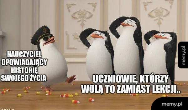 Pingwiny z Madagaskaru salutujące dowódcy