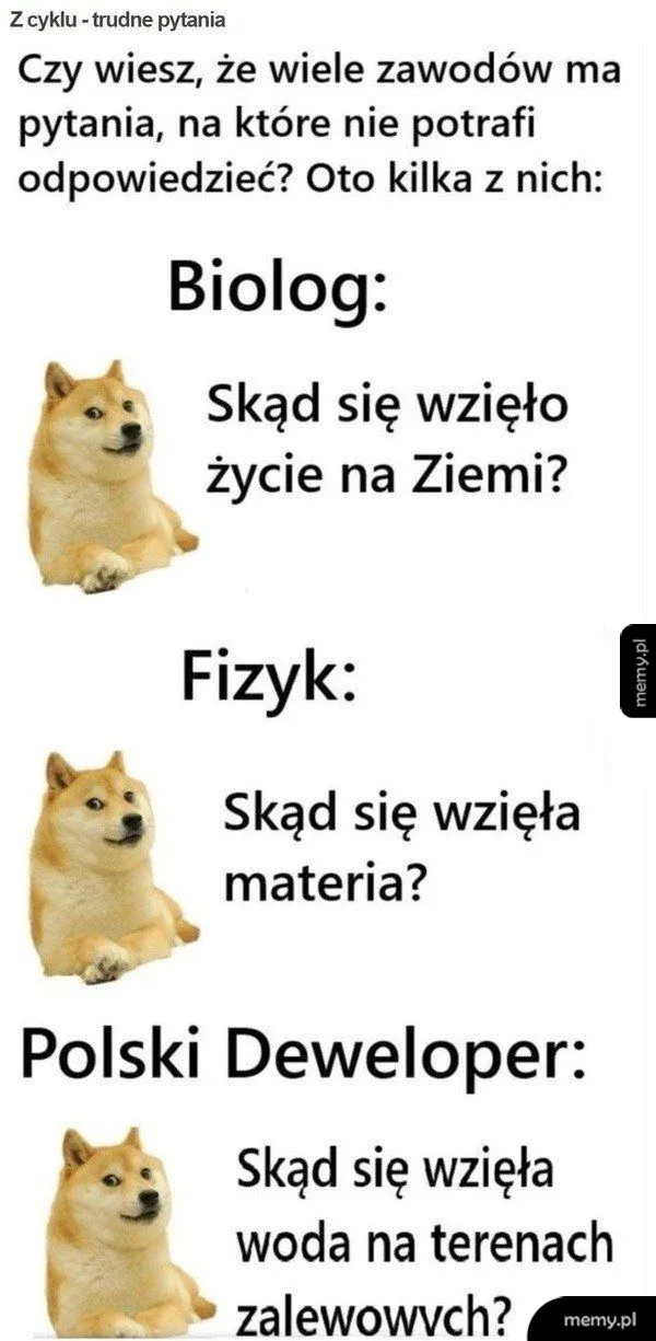 Meme z psem Doge i trudnymi pytaniami dla różnych zawodów.