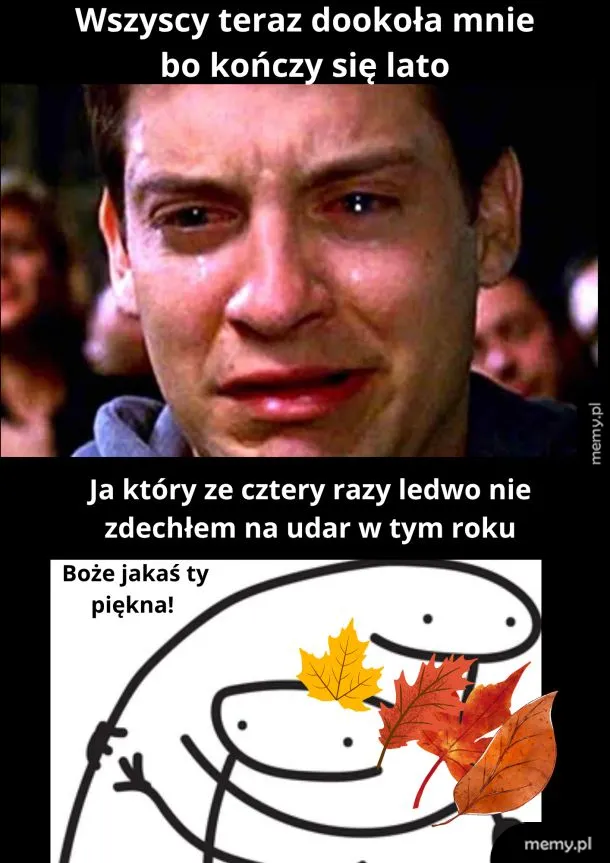 Mem z płaczącym Tobeyem Maguire oraz rysunkiem postaci zachwyconej jesiennymi liśćmi.