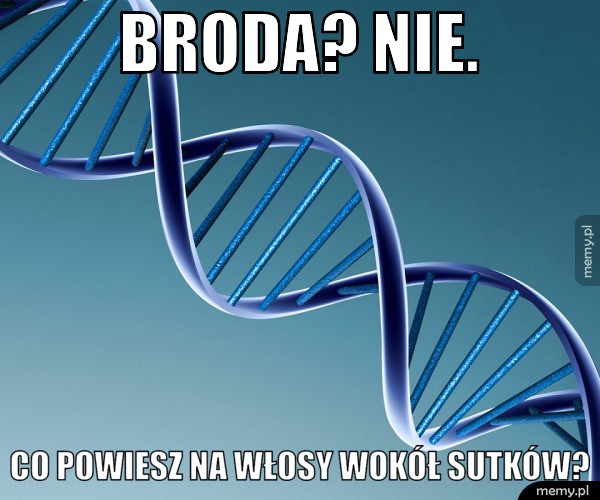 Broda? Nie.