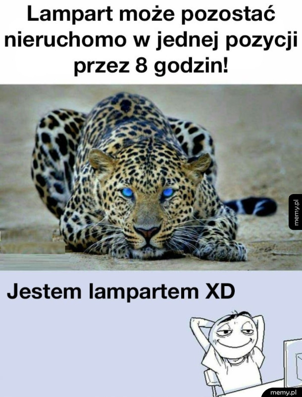 Lamparteł