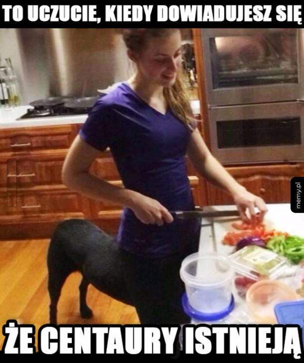 Centaury jednak istnieją!