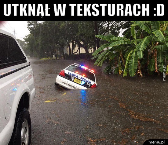 Peszek