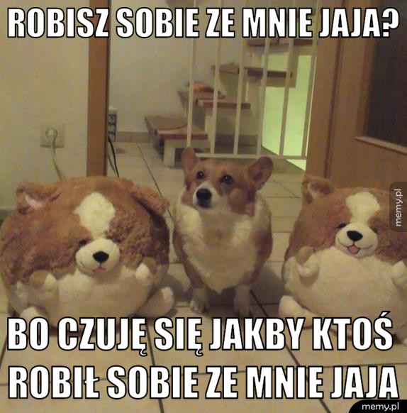 Heheszki?