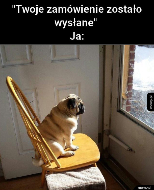 Twoje zamówienie zostało wysłane