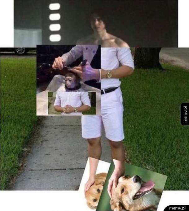 Wyższy level mema