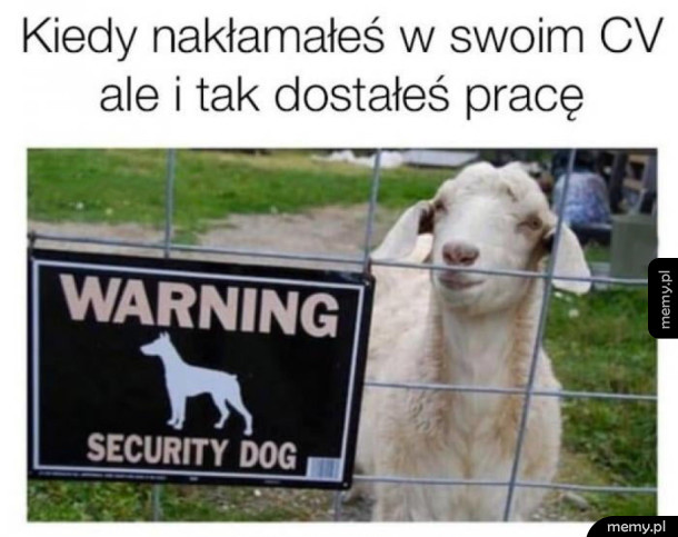 No i elegancko