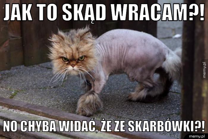 Było skubanie