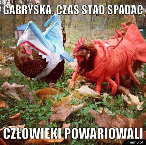 Gabryśka, czas stąd spadać