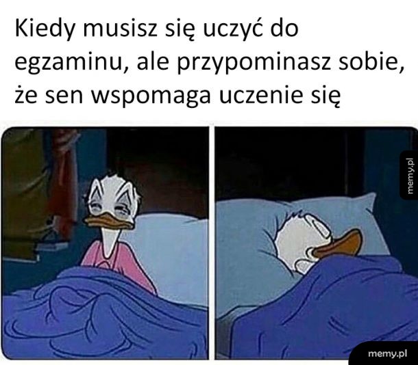 Sen jest najważniejszy