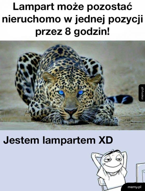 Moja prawdziwa natura