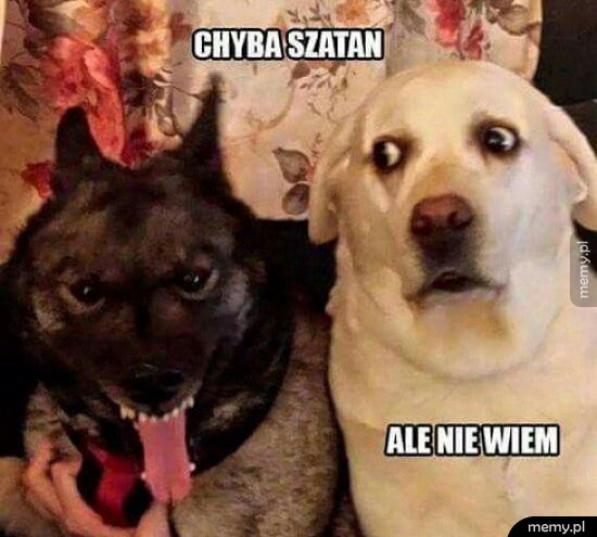 Chyba szatan